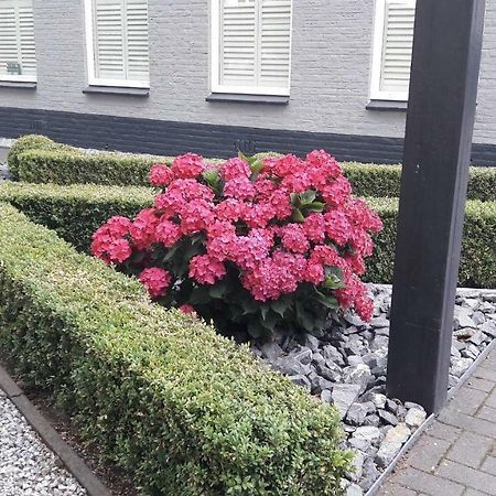 Sfeervolle 2 Persoons Studio In Bakkeveen المظهر الخارجي الصورة